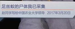 足丝蚁的尸体我已采集（赵同学写给中国农业大学领导 2017年3月20日）